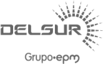 logoDELSUR